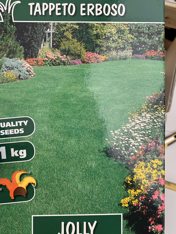 Semi per Tappeto Erboso Jolly 1 KG Loietto Festuca Poa, sementi, semenza per prato.