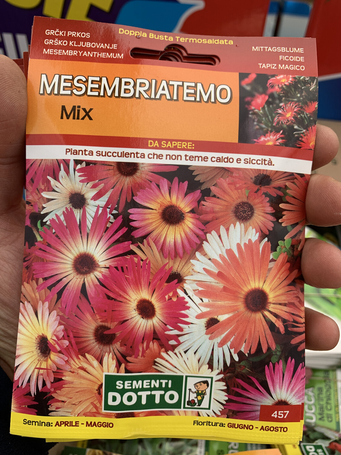 Mesembriatemo - Busta semi