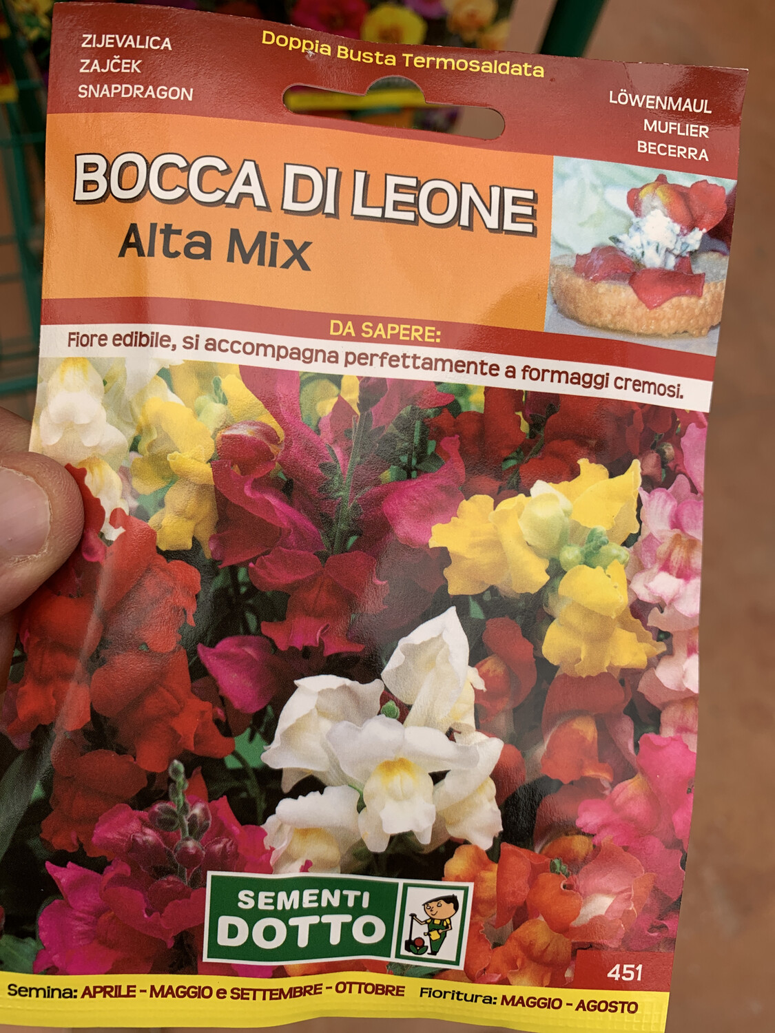 Bocca di Leone Alta Mix - Busta semi Bocca di Leone Alta Mix - Busta semi