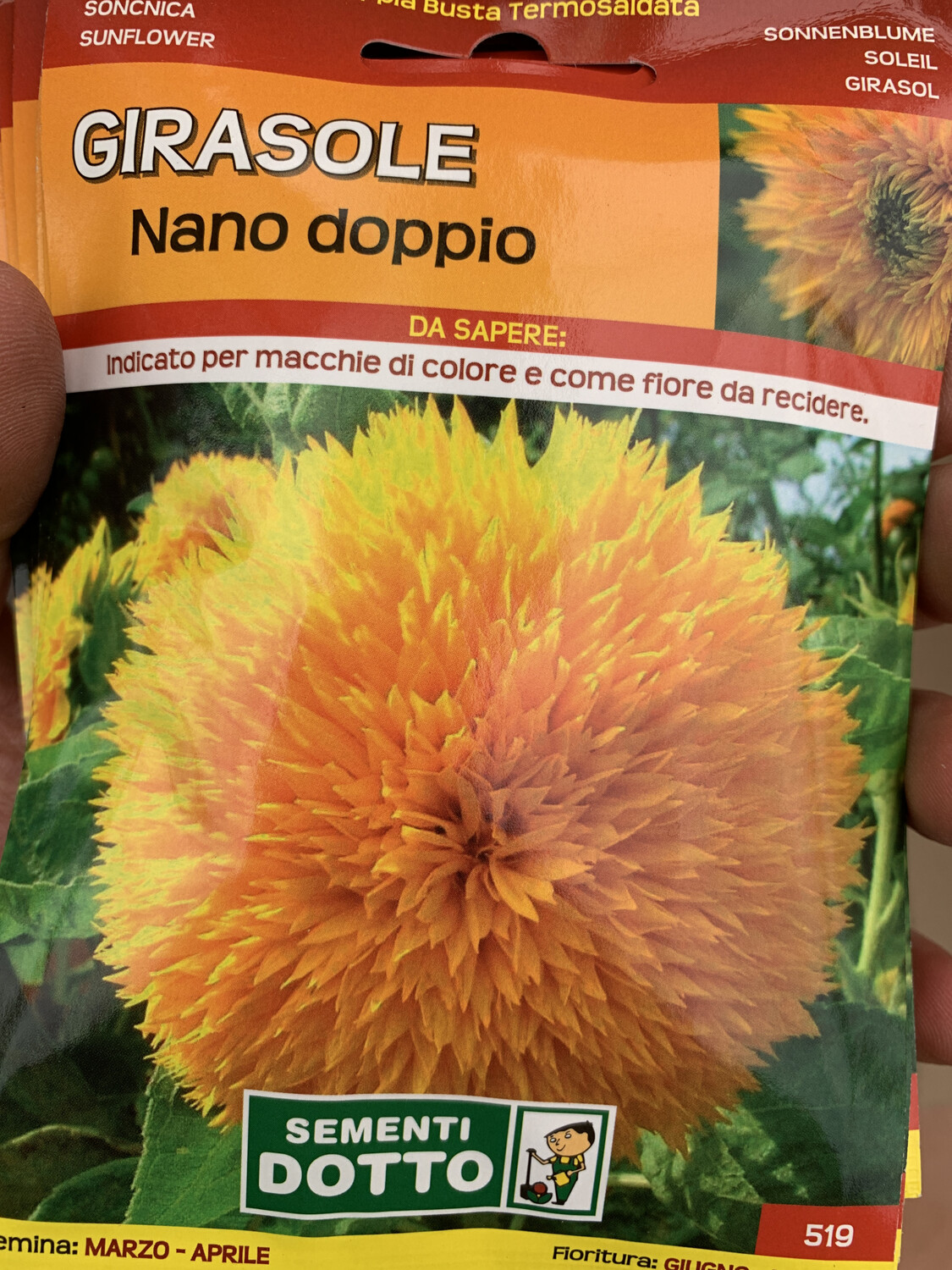 Girasole nano doppio - Busta semi