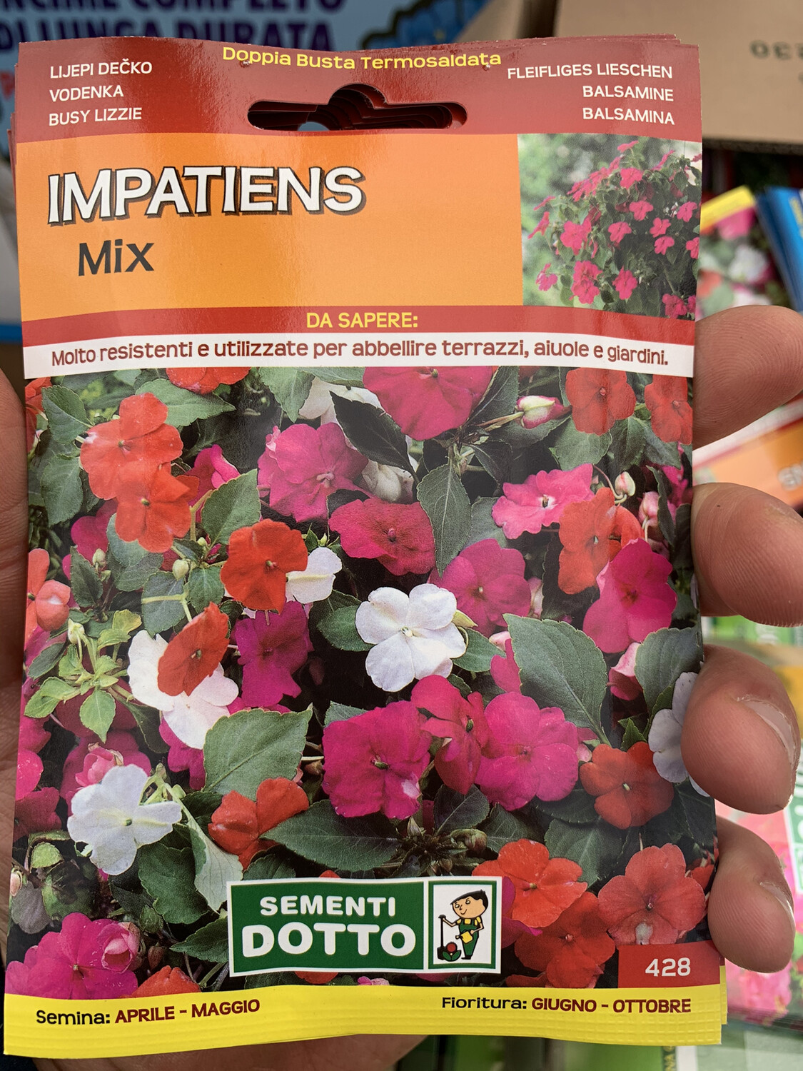 Impatiens fiore di vetro - Busta semi