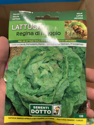 Lattuga regina di maggio - Busta Semi Lattuga regina di maggio - Busta Semi