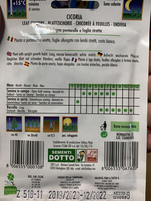 Cicoria Catalogna Puntarelle di Galatina - Busta semi
