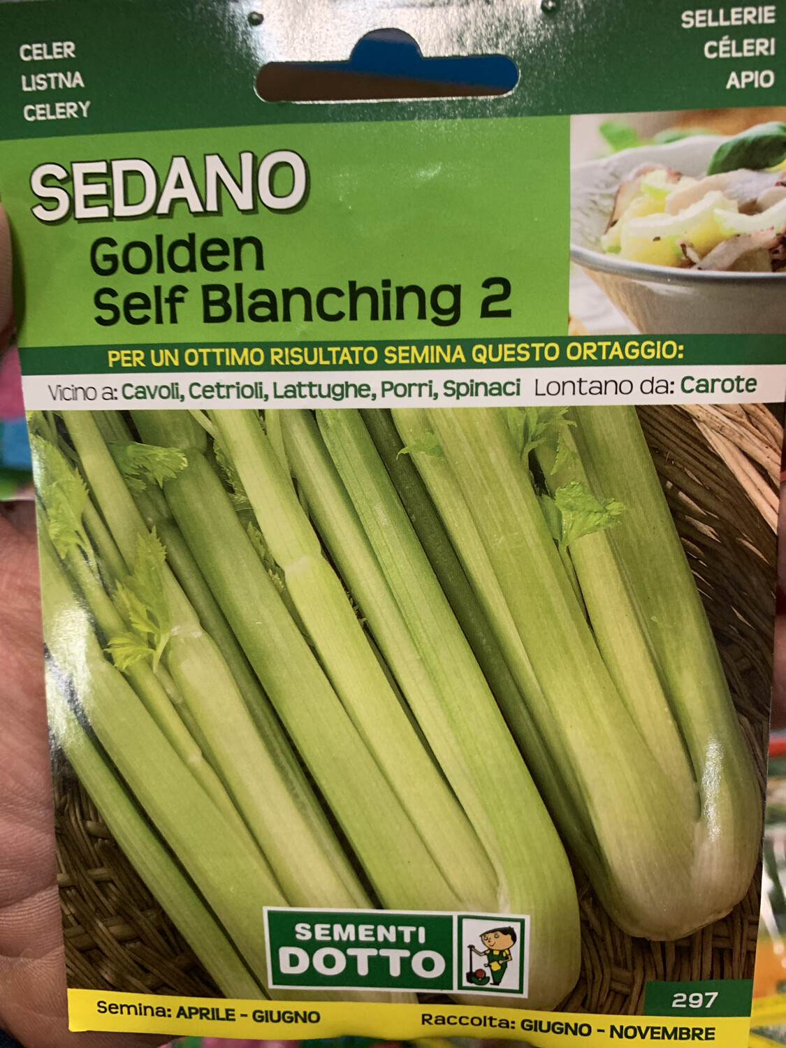 Sedano golden chiaro - Busta semi Sedano golden chiaro - Busta semi