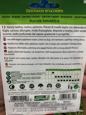Rucola Selvatica - Busta semi