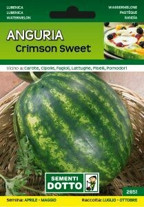 Anguria Crimson Sweet, Citrullus lanatus - Busta semi