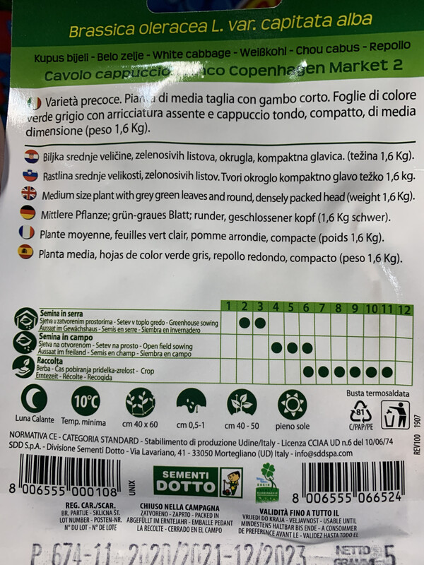 Cavolo cappuccio bianco - Busta semi