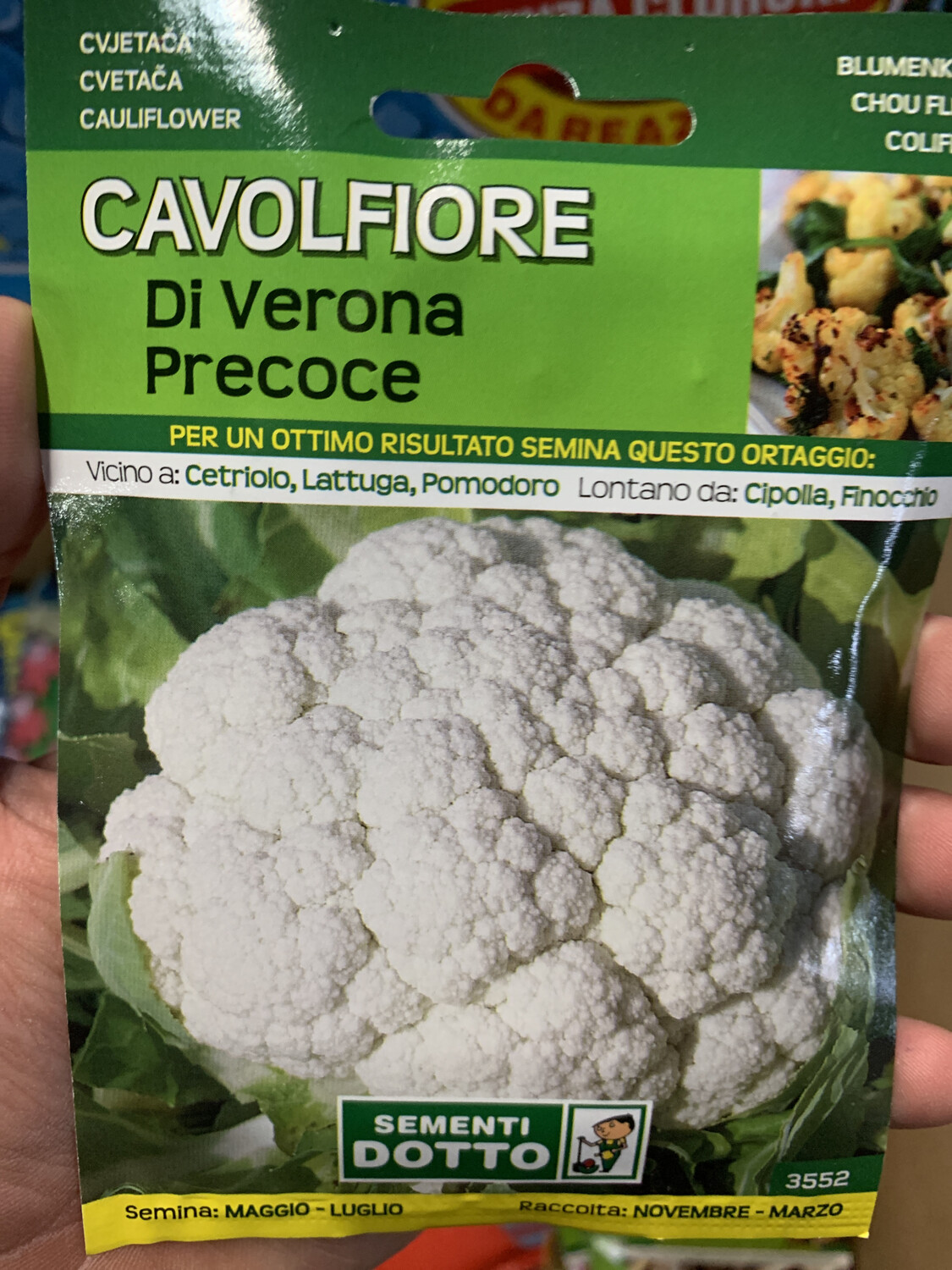 Cavolfiore di verona precoce - Busta semi Cavolfiore di verona precoce - Busta semi