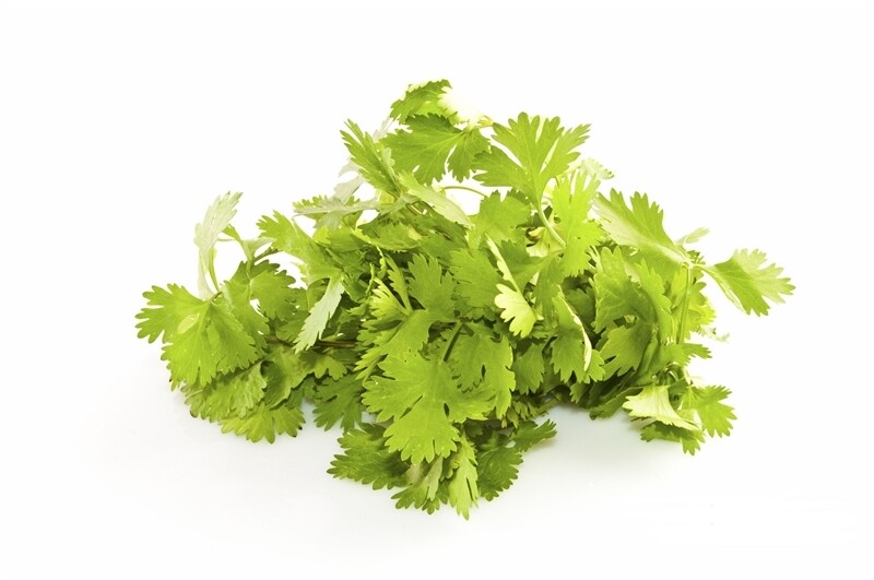 Anice, Pimpinella anisum - vaso Ø14 cm