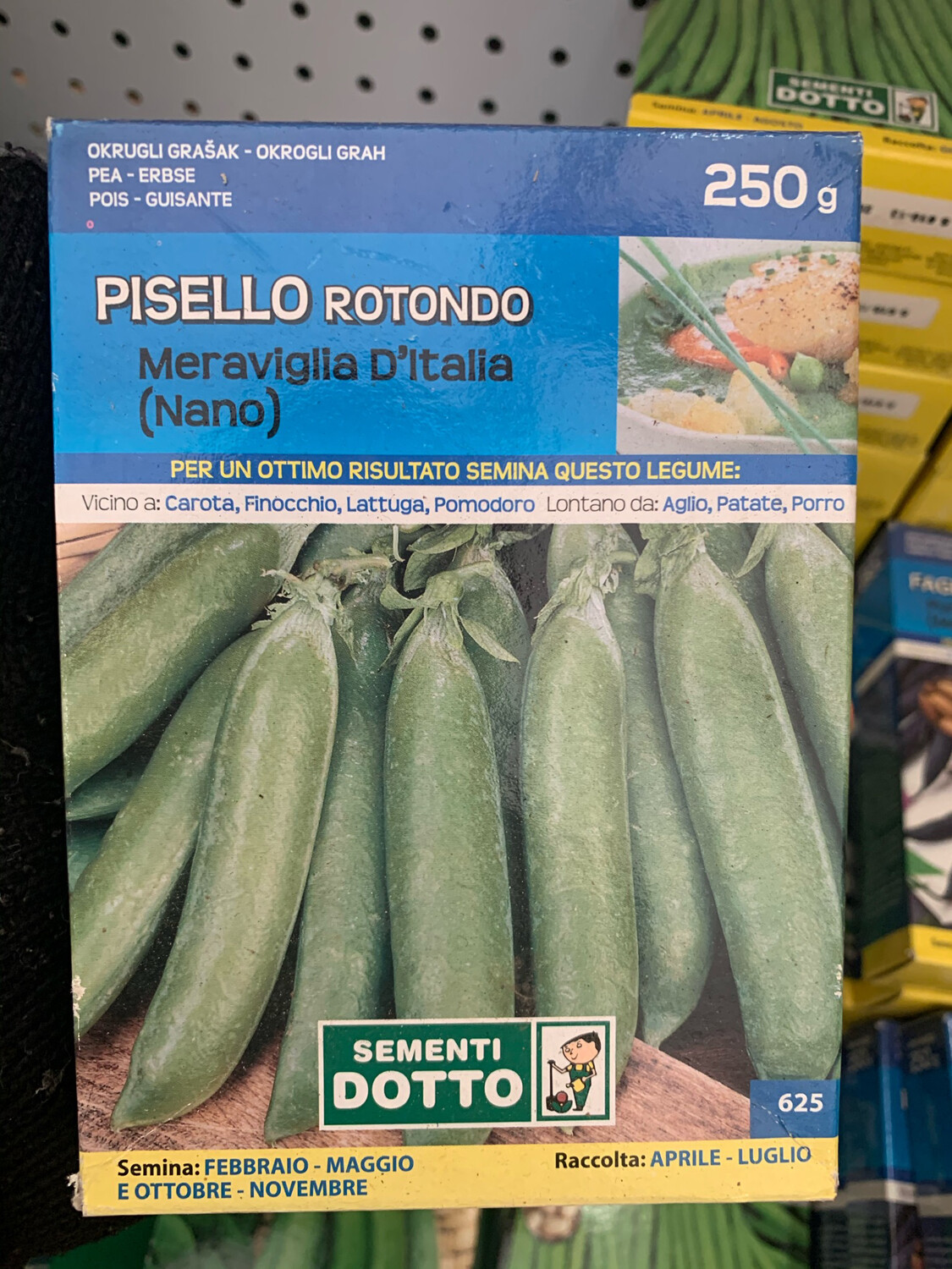 Pisello Rotondo Liscio Nano Meraviglia d' Italia SCATOLA 250 grammi