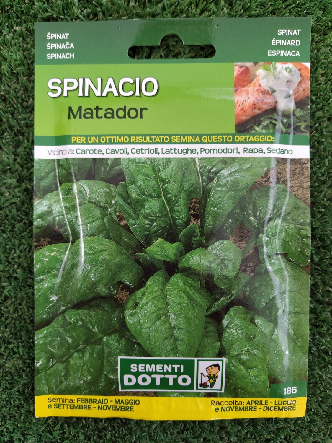 Spinacio Matador - Busta semi