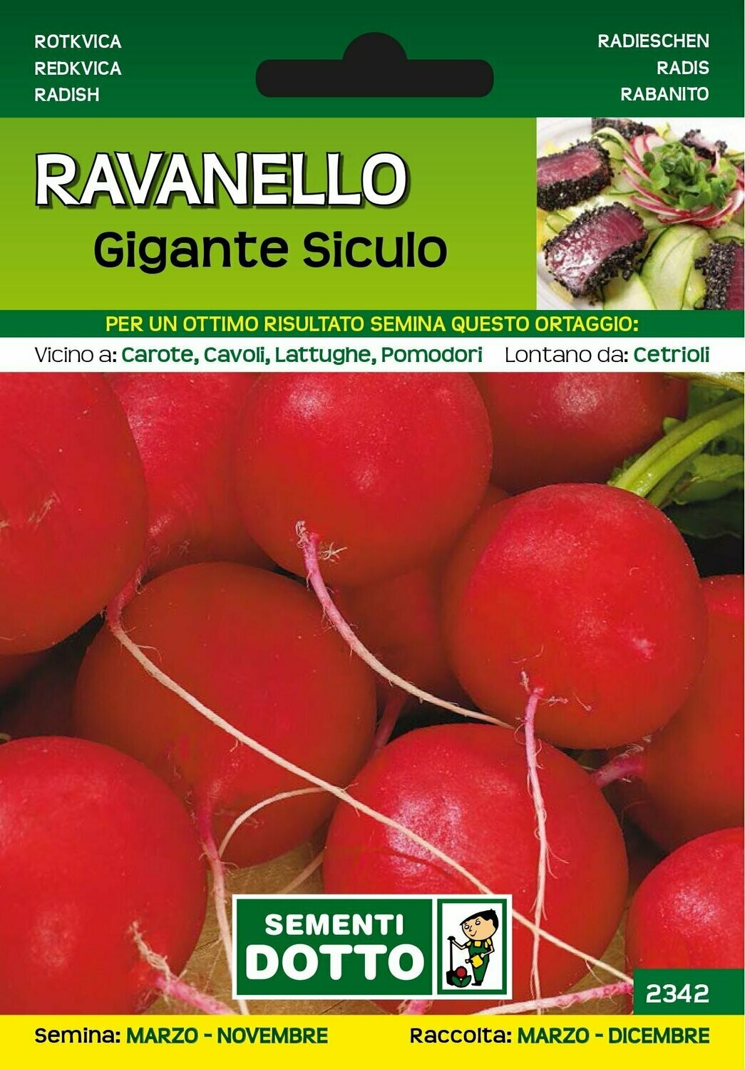 Ravanello Gigante Siculo - Busta semi Ravanello Gigante Siculo - Busta semi