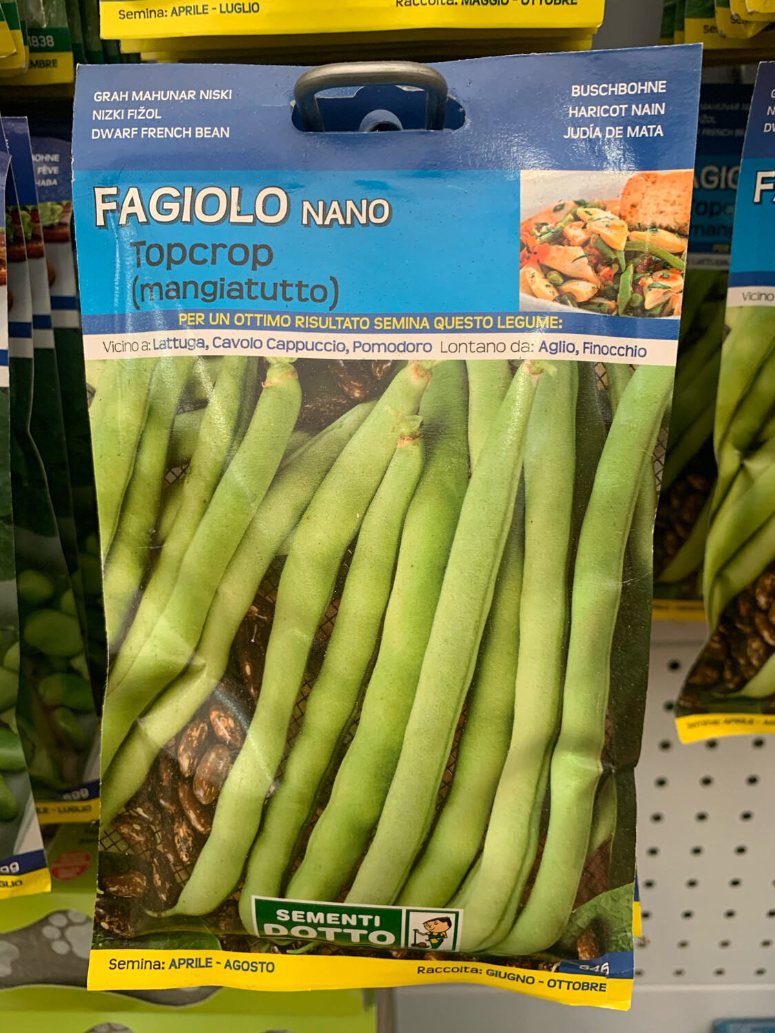 Fagiolino Nano Topcrop 250 grammi - Scatola semi