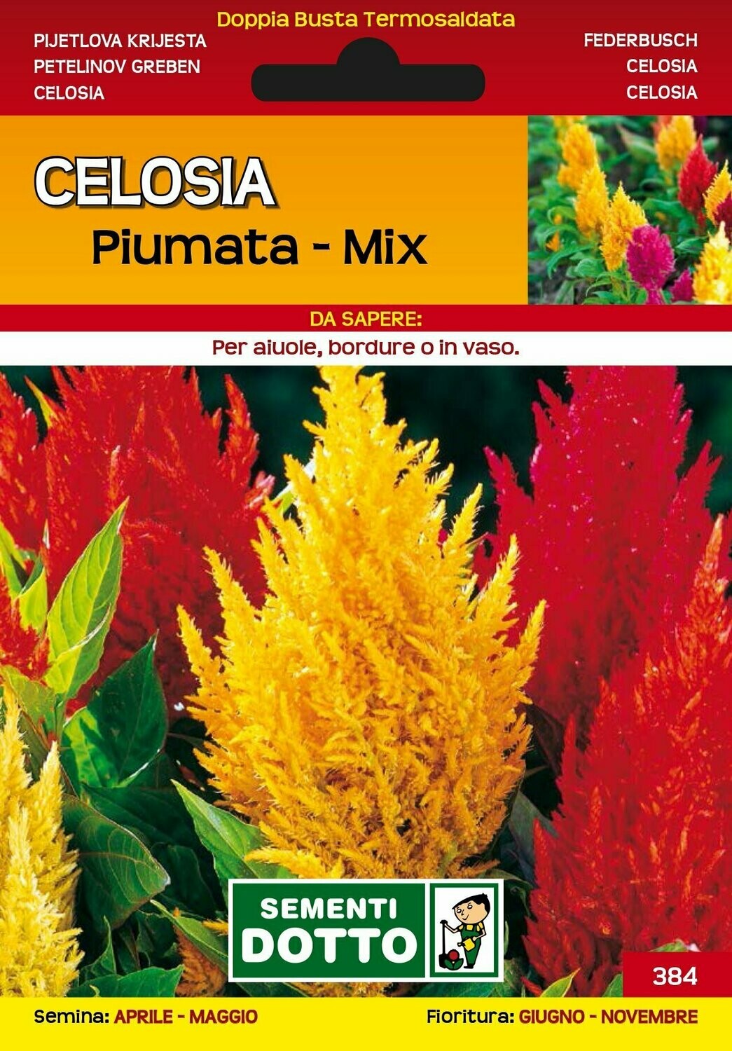 Celosia plumosa nana - Busta semi Celosia plumosa nana - Busta semi