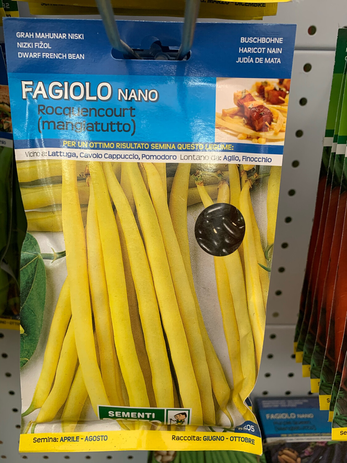 Fagiolino Nano Rocquencourt 250 grammi - Scatola semi Fagiolino Nano Rocquencourt 250 grammi - Scatola semi