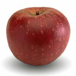 Melo Stayman Red, Malus domestica, Mela - vaso Ø24 cm