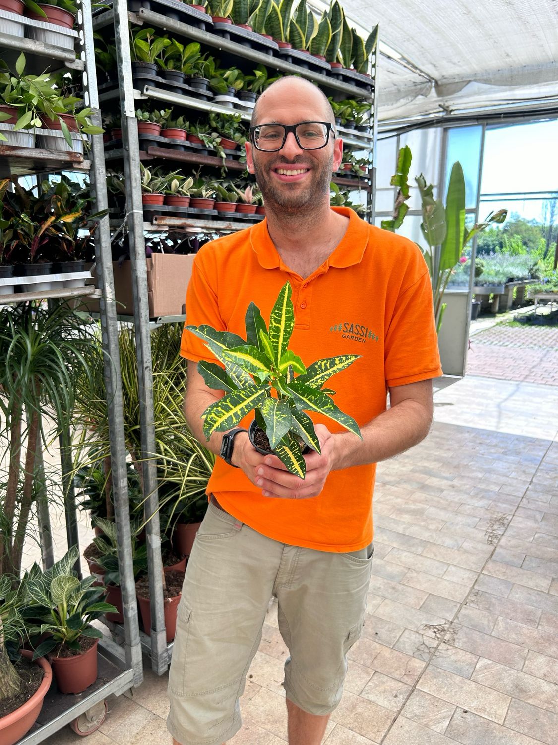 Croton Codiaeum variegatum ‘Sunny Star’ - vaso Ø12 cm Croton Codiaeum variegatum ‘Sunny Star’ - vaso Ø12 cm
