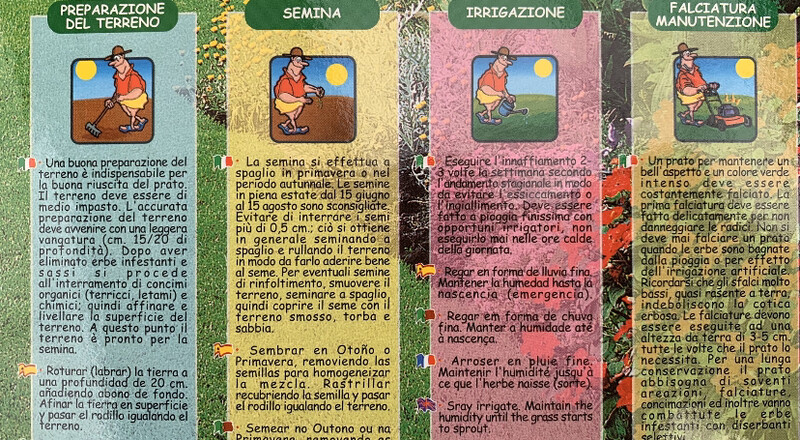 Semi per Prato "Polo" - Mix Loietto, Festuca e Poa (Scatola 1 KG)