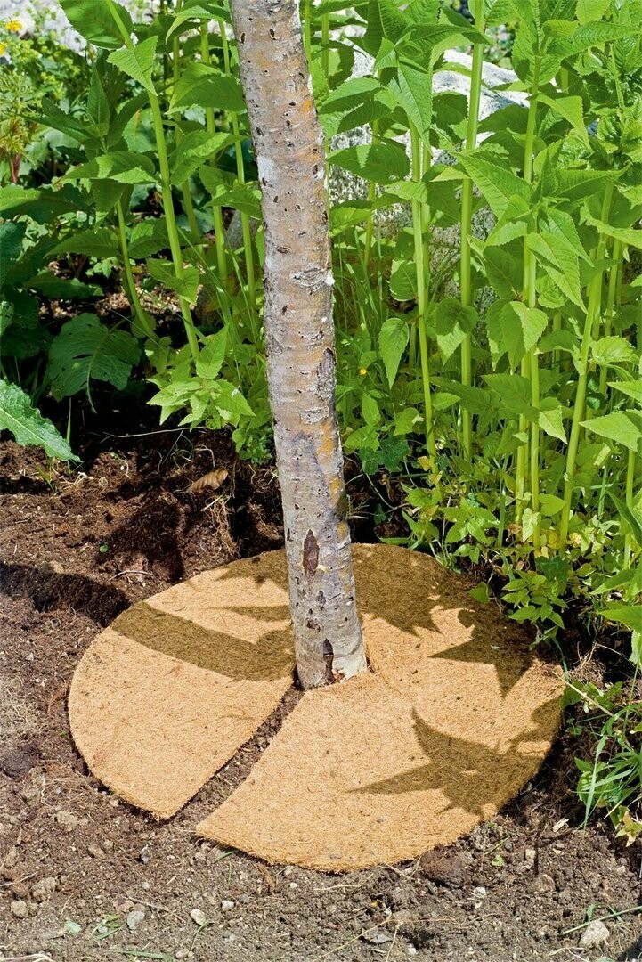 DISCO IN FIBRA VEGETALE - Ø56 cm