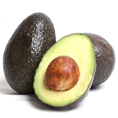 Avocado, Persea Americana Hass - vaso Ø20 cm Avocado, Persea Americana Hass - vaso Ø20 cm
