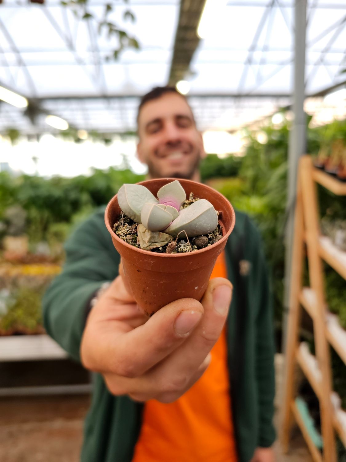 Lapidaria Margarethae - vaso Ø5.5 cm Lapidaria Margarethae - vaso Ø5.5 cm