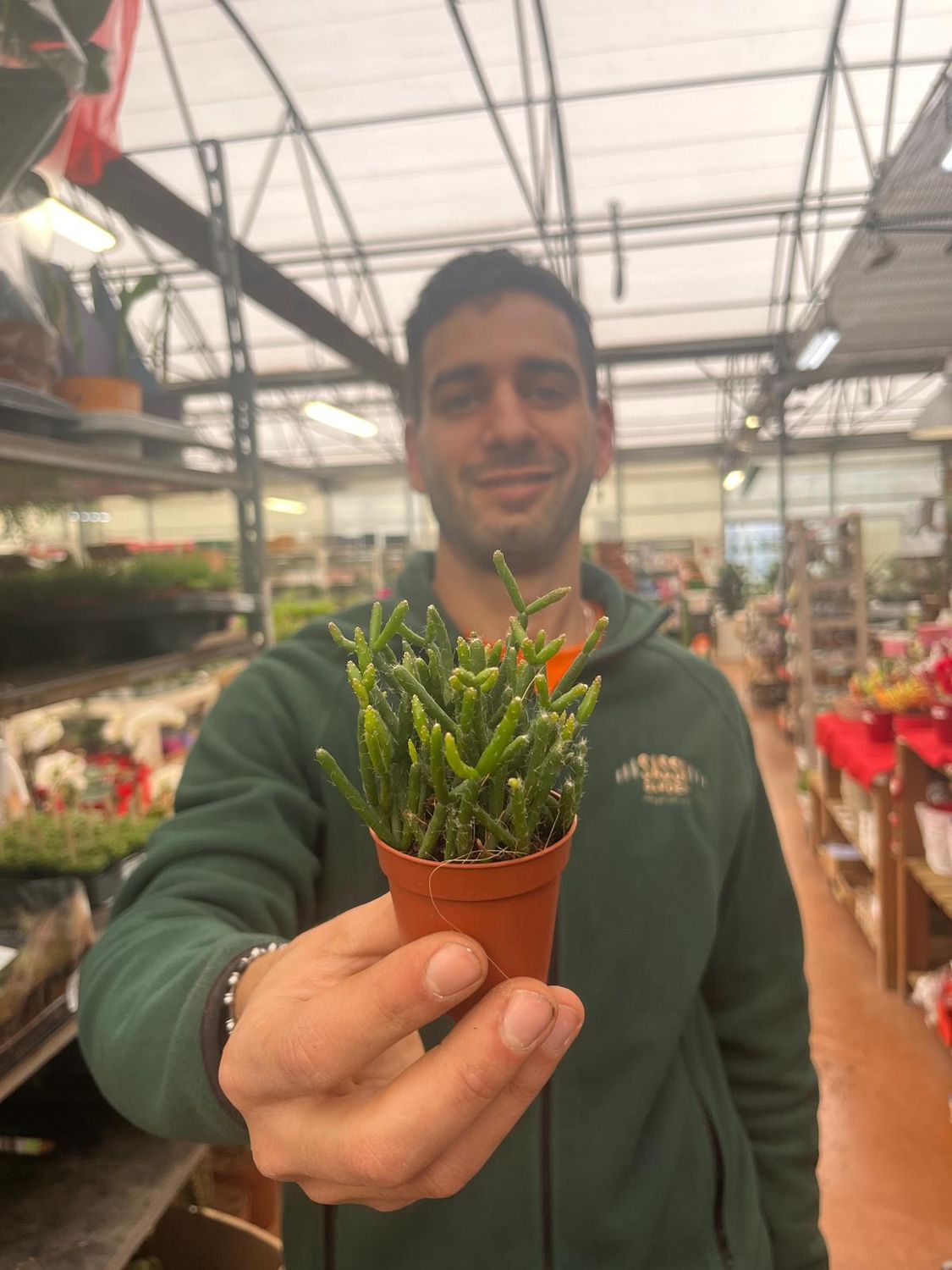 Rhipsalis Burchellii - vaso Ø5.5