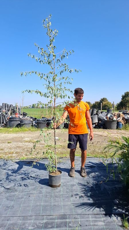 FOTO SETTEMBRE 2025