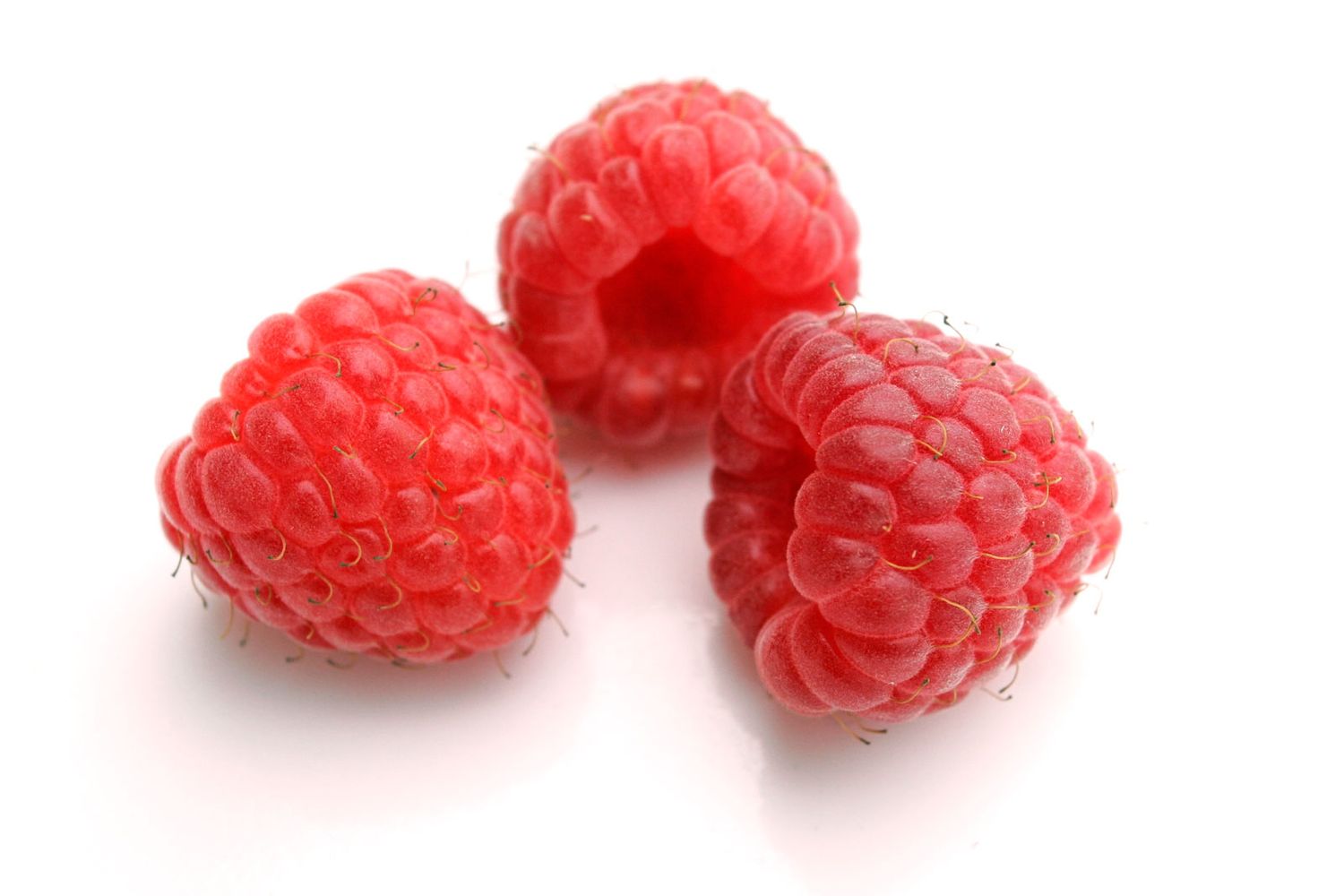 Lampone Tulameen, Rubus idaeus ‘Tulameen’, Lampone estivo - vaso Ø18 cm Lampone Tulameen, Rubus idaeus ‘Tulameen’, Lampone estivo - vaso Ø18 cm