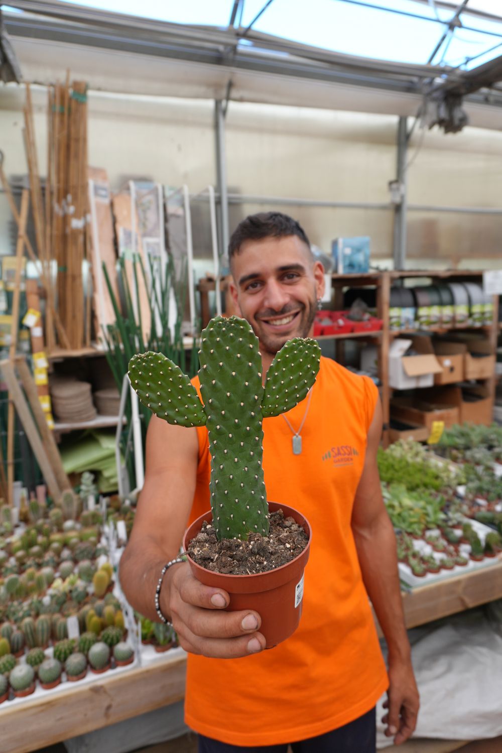 Opuntia Consolea - vaso Ø12 cm