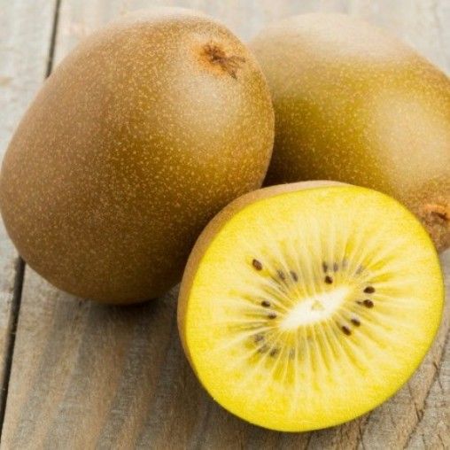 Kiwi Actinidia chinensis Minkigold Femmina - vaso Ø19 cm h 150 Kiwi Actinidia chinensis Minkigold Femmina - vaso Ø19 cm h 150