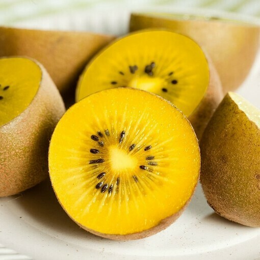 Kiwi Golden Actinidia FEMMINA (sapore dolce, colore giallo) - vaso quadro 18 cm, h 150 cm Kiwi Golden Actinidia FEMMINA (sapore dolce, colore giallo) - vaso quadro 18 cm, h 150 cm
