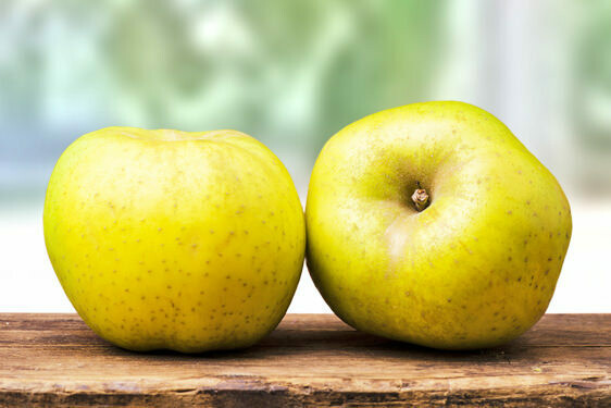 Mela Renetta, Mela regina delle renette, Malus domestica 'Reinette' - In pack Mela Renetta, Mela regina delle renette, Malus domestica 'Reinette' - In pack