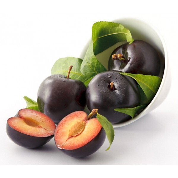 Susino 'Angeleno', Prunus salicina 'Angeleno' - In pack Susino 'Angeleno', Prunus salicina 'Angeleno' - In pack