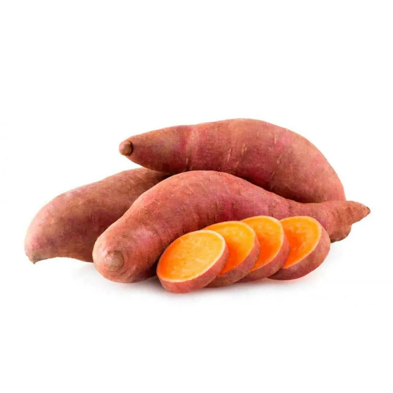 Ipomoea batatas, Patata dolce - vaso Ø14 cm