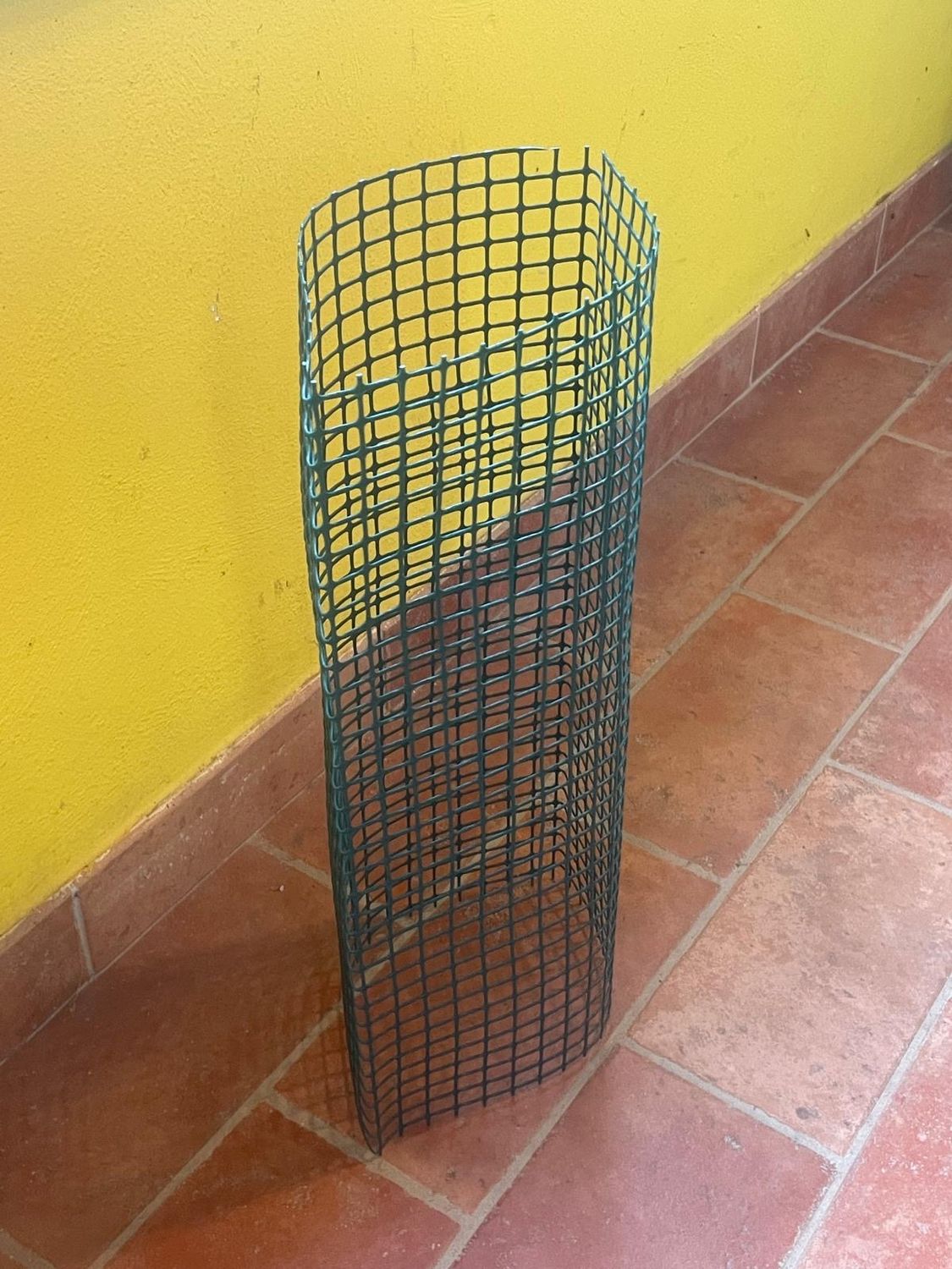 Shelter a rete metallica tipo RR – RR200 15x15 - Protezione giovani piante Shelter a rete metallica tipo RR – RR200 15x15 - Protezione giovani piante