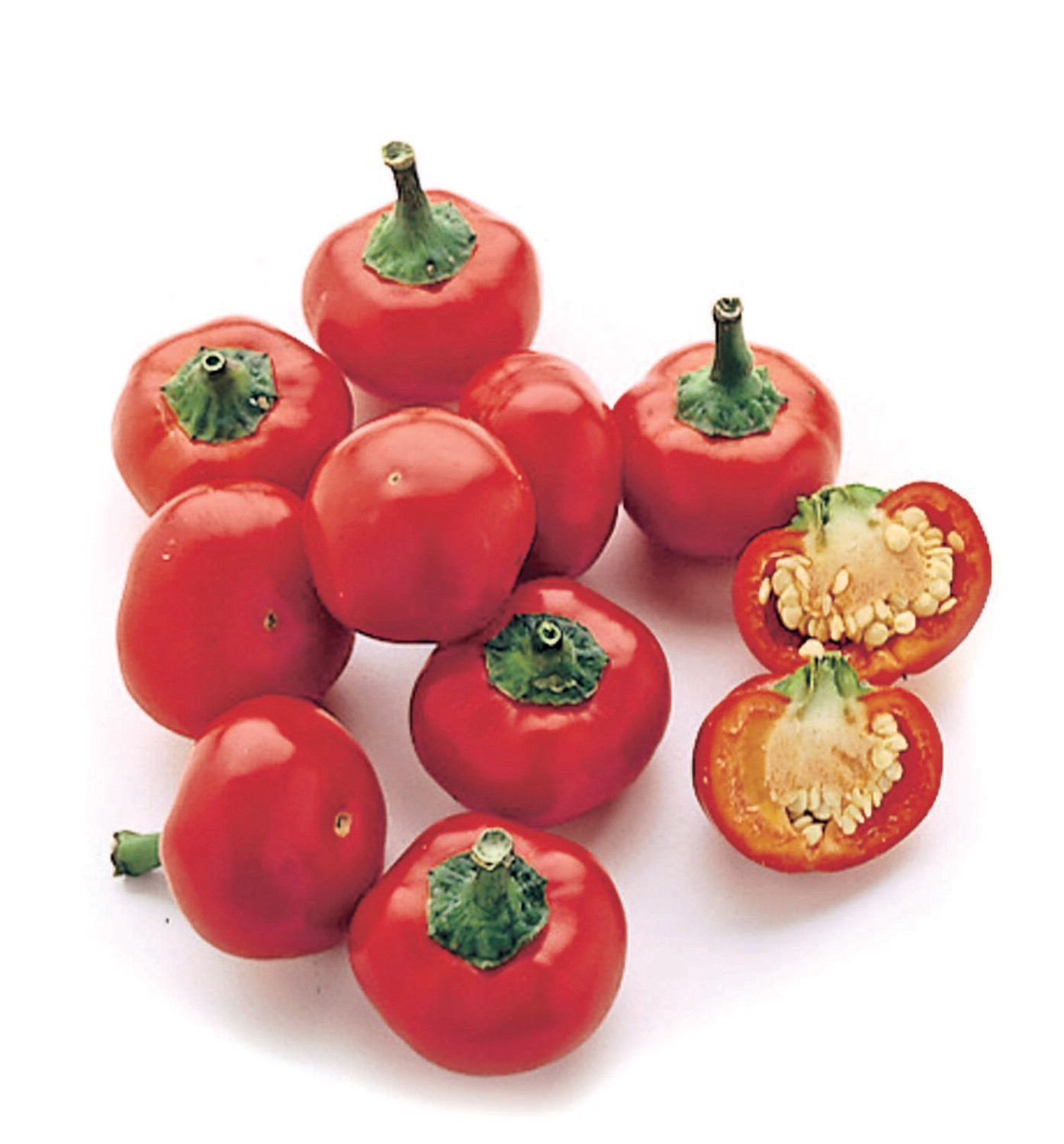 PEPERONCINO TONDO CALABRESE - Capsicum annuum - v14 PEPERONCINO TONDO CALABRESE - Capsicum annuum - v14