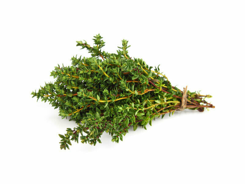 Timo Nytidus, Thymus vulgaris - vaso Ø9 cm
