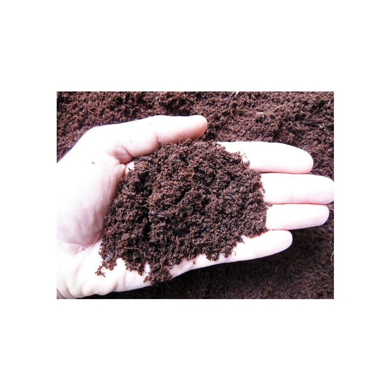 Fibra di cocco fine 0/3 mm Geosism, terriccio di cocco per rinvaso e semine - sacco 70 lt Fibra di cocco fine 0/3 mm Geosism, terriccio di cocco per rinvaso e semine - sacco 70 lt