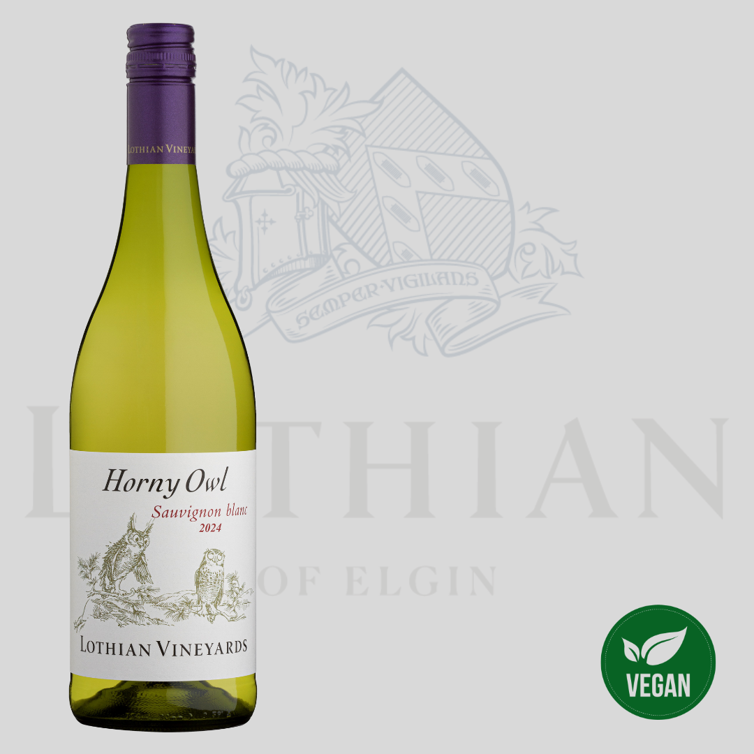 Lothian Vineyards - Horny Owl Sauvignon Blanc 2024 x 6 bottles