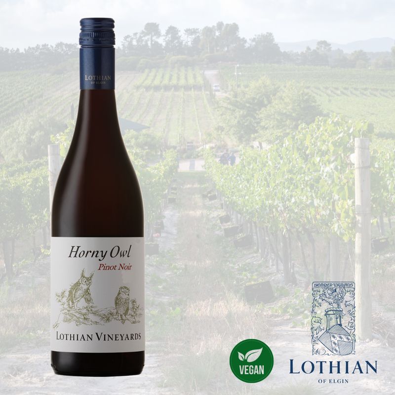 Lothian Vineyards - Horny Owl Pinot Noir 2025 x 6 bottles