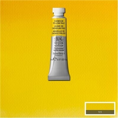 118 AMARILLO DE CADMIO PÁLIDO