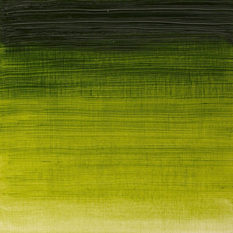 WINSOR & NEWTON ÓLEO WINTON 599 VERDE VEJIGA