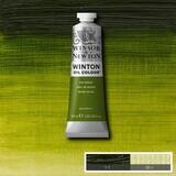 WINSOR & NEWTON ÓLEO WINTON 599 VERDE VEJIGA