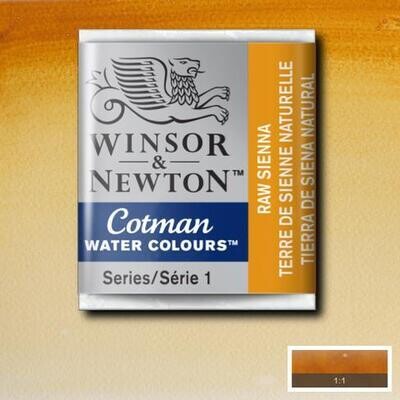 WINSOR & NEWTON COTMAN ACUARELA 552 TIERRA DE SIENA NATURAL