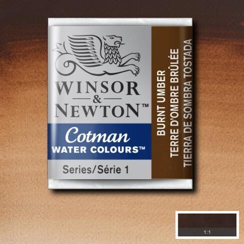 WINSOR & NEWTON COTMAN ACUARELA 076 TIERRA DE SOMBRA TOSTADA