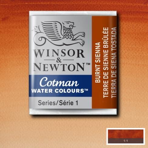 WINSOR & NEWTON COTMAN ACUARELA 074 TIERRA DE SIENA TOSTADA