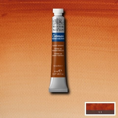 WINSOR & NEWTON COTMAN ACUARELA 074 TIERRA DE SIENA TOSTADA