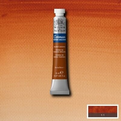 WINSOR & NEWTON COTMAN ACUARELA 074 TIERRA DE SIENA TOSTADA