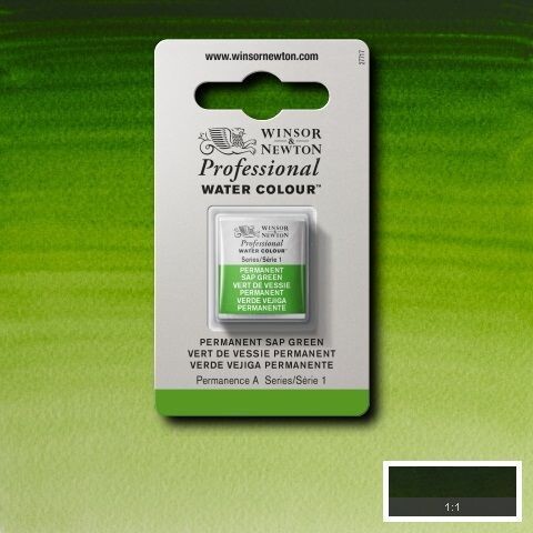 WINSOR & NEWTON ACUARELA PROFESIONAL 503 VERDE VEJIGA PERMANENTE
