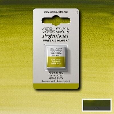 WINSOR & NEWTON ACUARELA PROFESIONAL 447 VERDE OLIVA